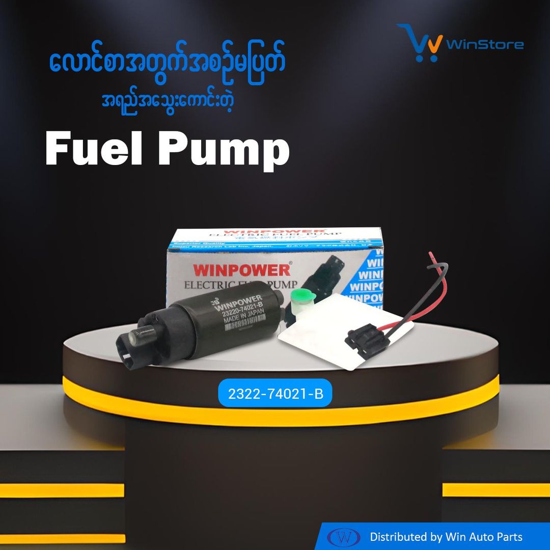 Fuel Pump - Win Store