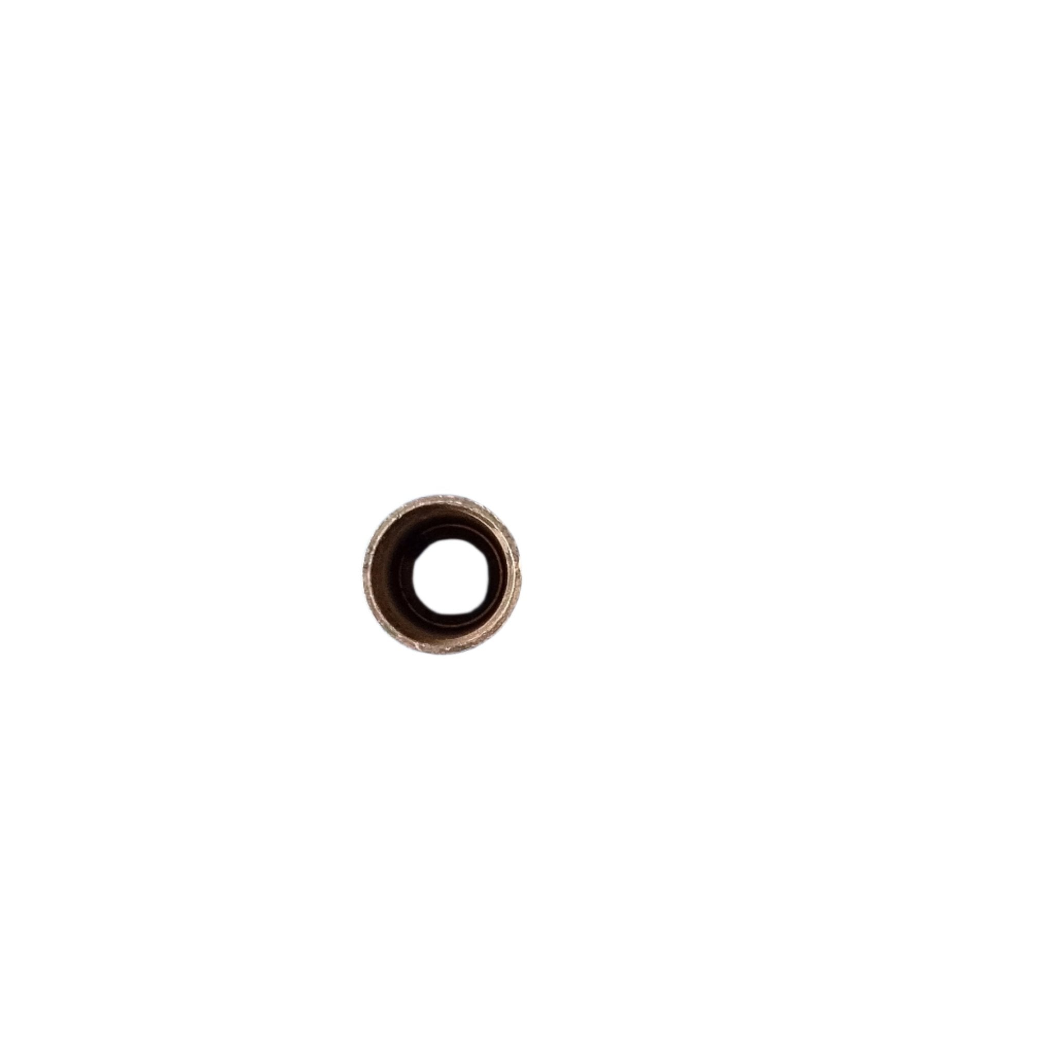 00TFO - 06 | WPR, Hose Ferrule - Win Store