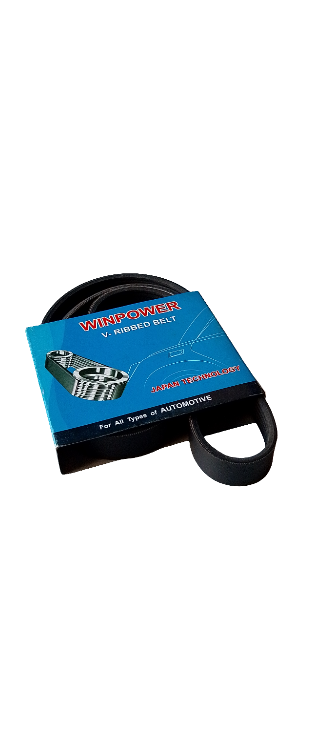 WINPOWER V-Ribbed Belt AY140-61175 6PK1175