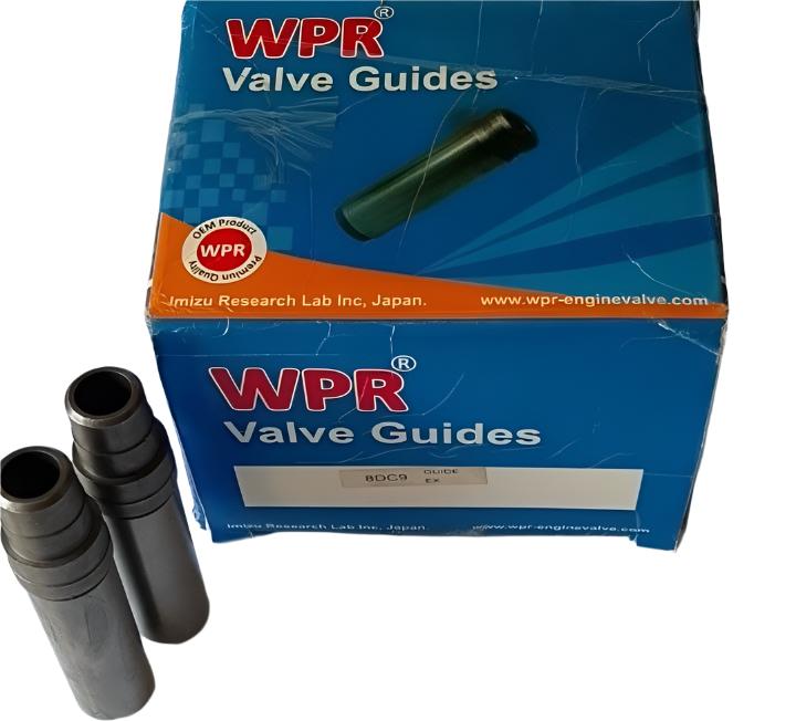 WPR Valve Guide, Exhaust, 31101-00602, Mitsubishi, 8DC9