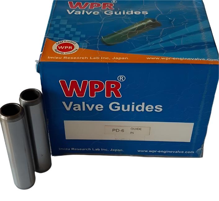 WPR Valve Guide, Intake, 13201-96000, Nissan, PD6