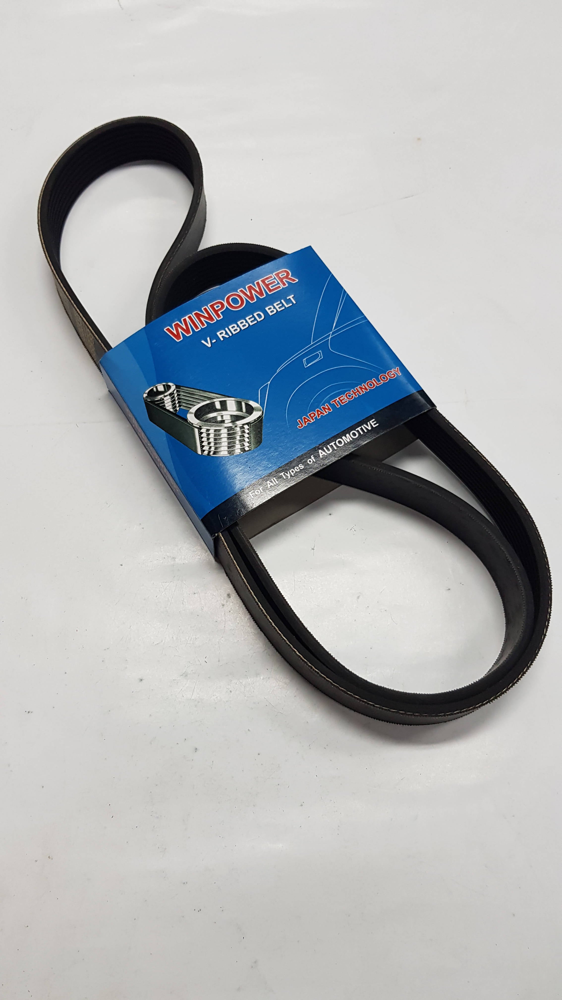 V-Ribbed Belt, WINPOWER, 6PK1730 (010167) - Win Store