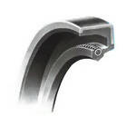 NOK Oil Seal, 17x28x8, DC BWW600-A0