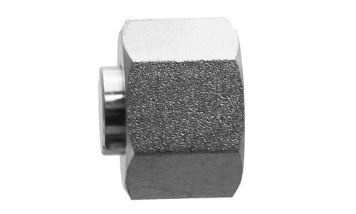 SS-9033-16 - Swivel Cap, 1" Female BSPP - Stainless Steel (095404)