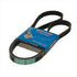 WINPOWER, V-Ribbed Belt, 7PK1135,  RENAULT