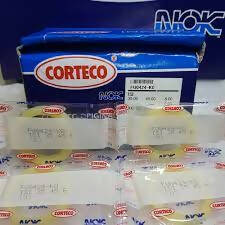 NOK Oil Seal, 45x55x6 ISI