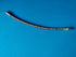 ZMTE Clutch Hose Assembly - 1/4"xR1, 13011-14-04 x 10811L-12-04, 18"